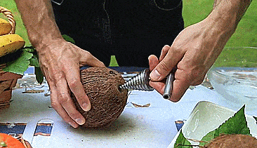 103614h36rnbo676hrm3ad.gif